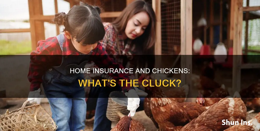 can homeowners insurance keep you from getting chickens