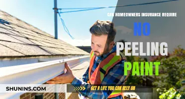 Homeowners Insurance: No Peeling Paint Clause Explained