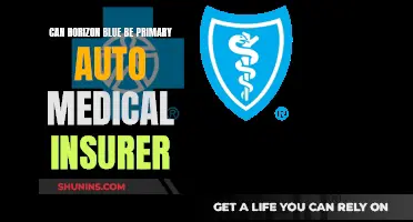 Blue Cross: Primary Auto-Medical Insurer?