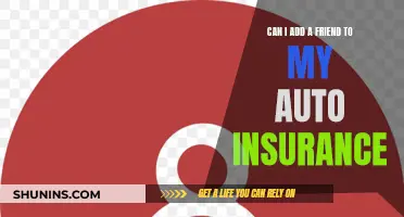 Insuring Friends: Auto Insurance Add-Ons