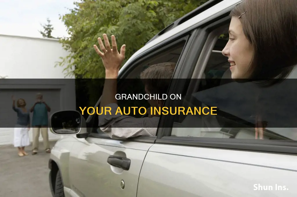 can I add my grandchild to my auto insurance