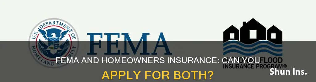 can I apply for fema if I have homeowners insurance
