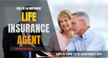 Becoming an Independent Life Insurance Agent: Is It Possible?