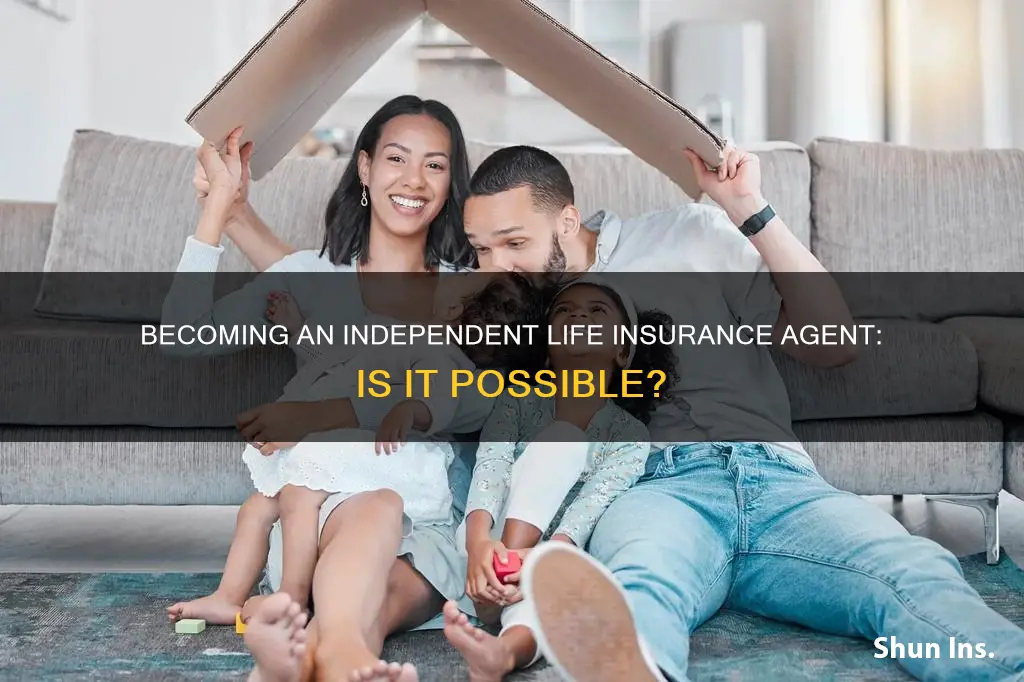 can I be an indpendent life insurance agent