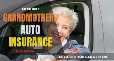 Grandchildren on Auto Insurance Policies