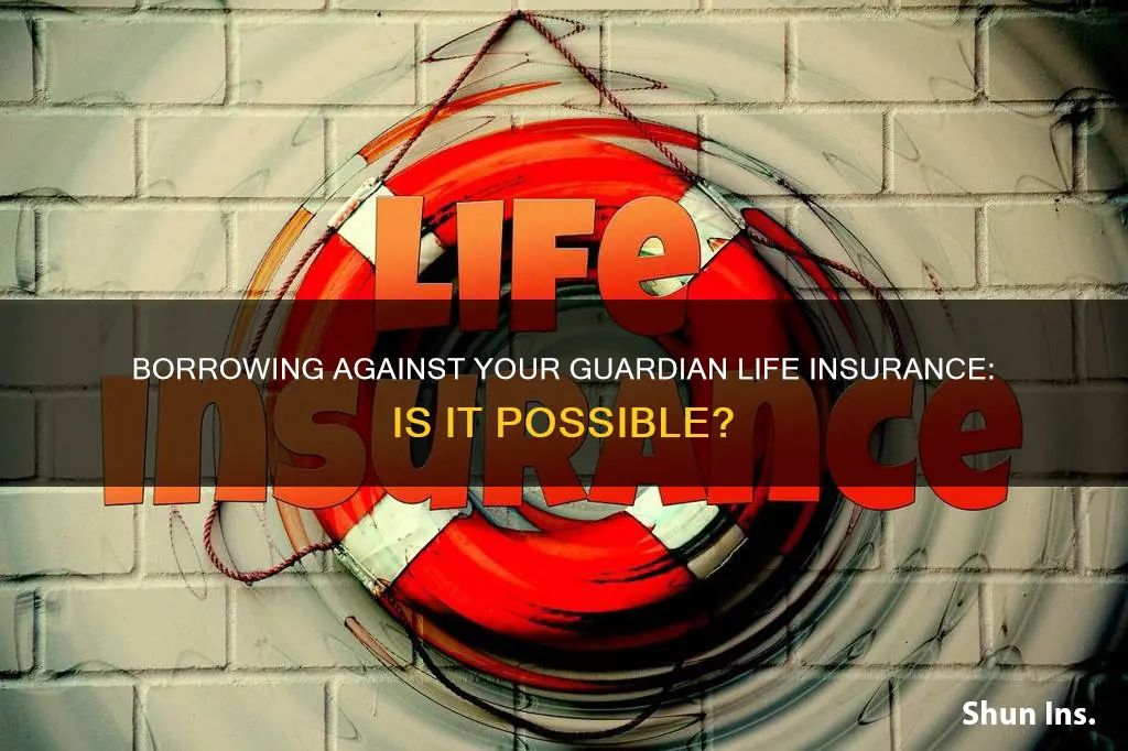 can I borrow against my guardian life insurance