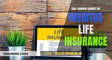 Borrowing Against Meritus Life Insurance: Is It Possible?