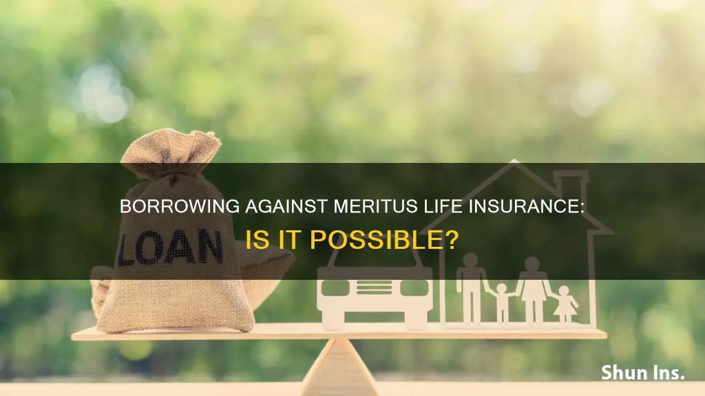 can I borrow against my meritus life insurance