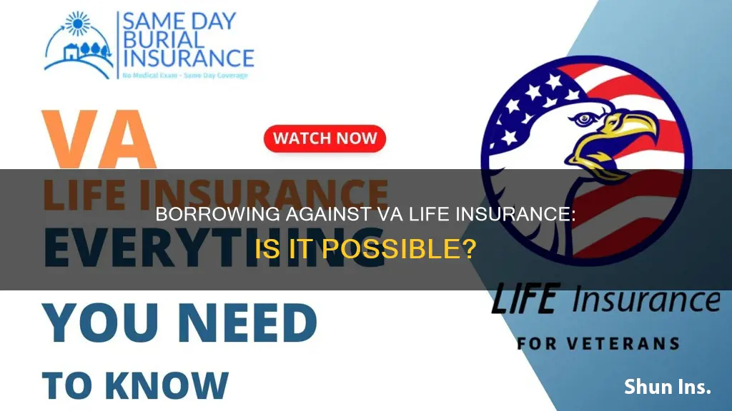 can I borrow against my va life insurance