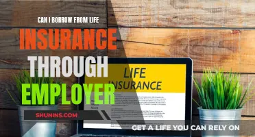 Borrowing from Life Insurance: Employer-Provided Policy Options