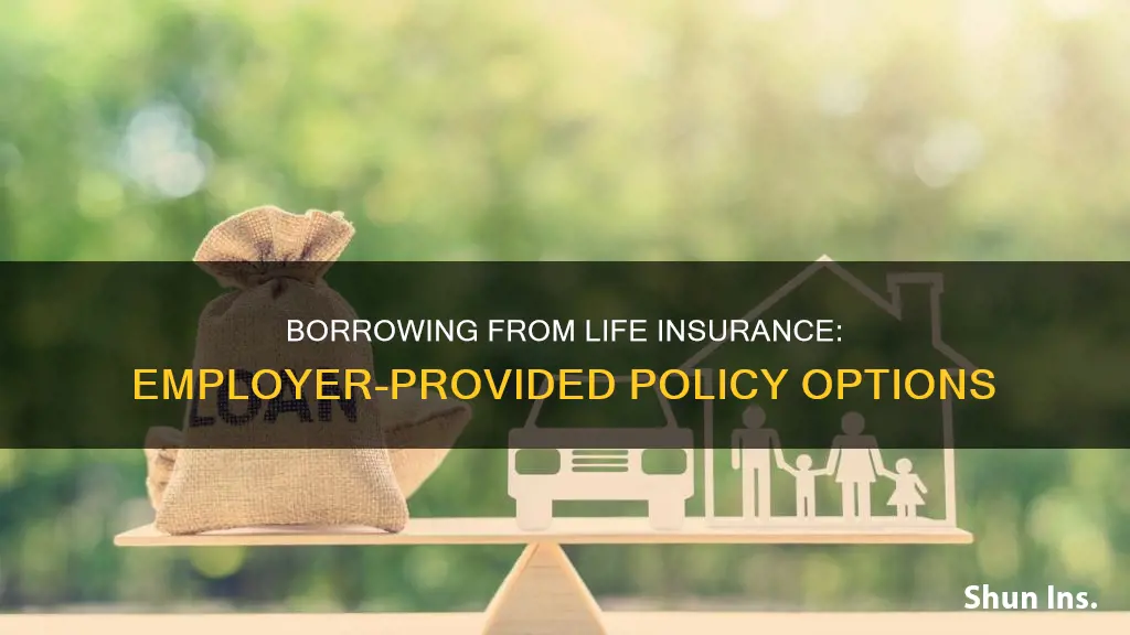 can I borrow from life insurance through employer