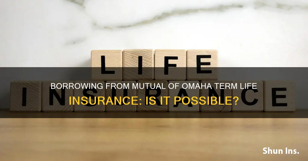 can I borrow from mutual of omaha term life insurance