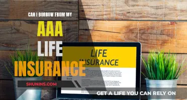 Borrowing from AAA Life Insurance: Is It Possible?