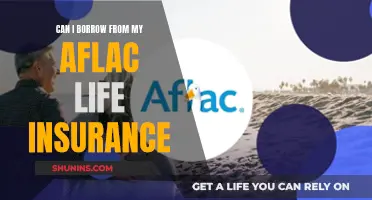 Aflac Life Insurance: Borrowing from Your Own Policy?