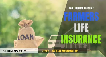 Borrowing from Farmers Life Insurance: Is It Possible?