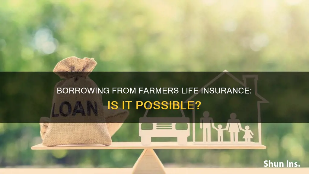 can I borrow from my farmers life insurance