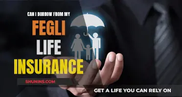 Borrowing from Fegli Life Insurance: Is It Possible?