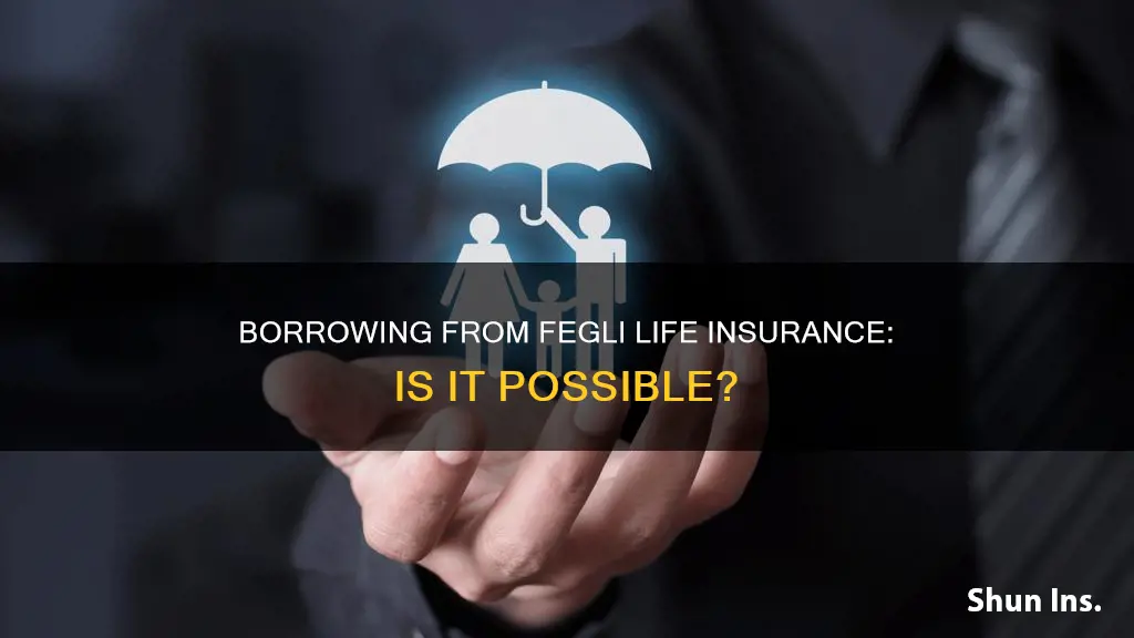 can I borrow from my fegli life insurance