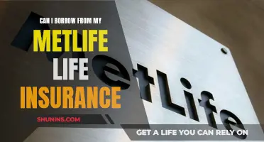 MetLife Insurance: Borrowing from Your Own Policy?