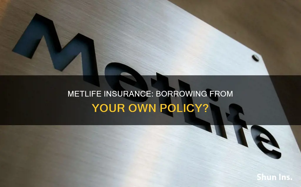 can I borrow from my metlife life insurance