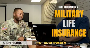 Borrowing from Military Life Insurance: Is It Possible?