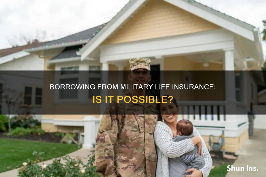 can I borrow from my military life insurance