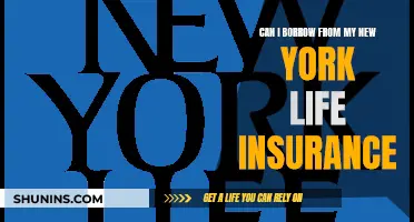 Borrowing from Your New York Life Insurance: Is It Possible?