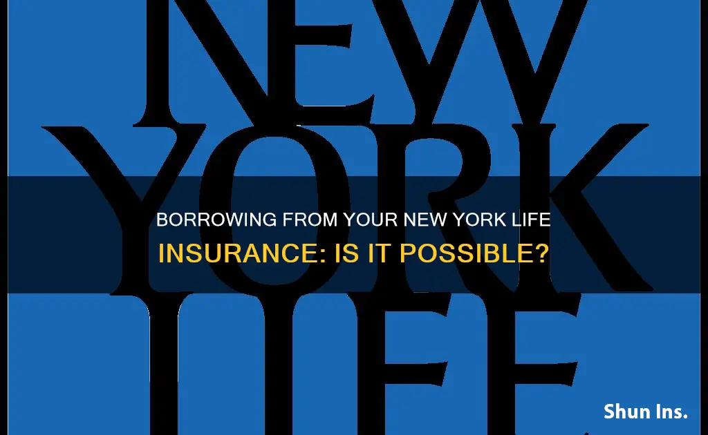 can I borrow from my new york life insurance