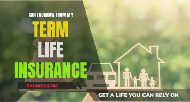 Borrowing from Term Life Insurance: Is It Possible?