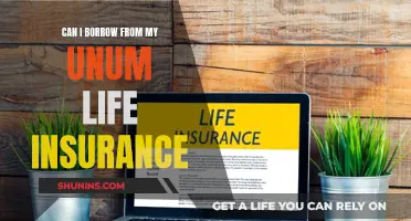 Borrowing from Your Unum Life Insurance: Is It Possible?