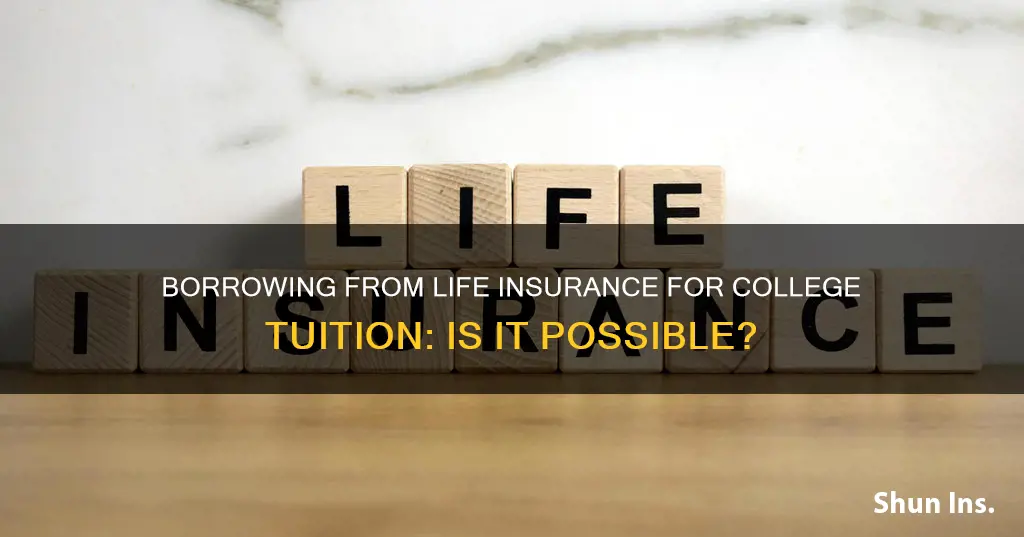 can I borrow money from life insurance for college tuition