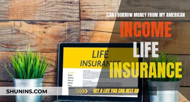 Borrowing Money from American Income Life Insurance: Is it Possible?