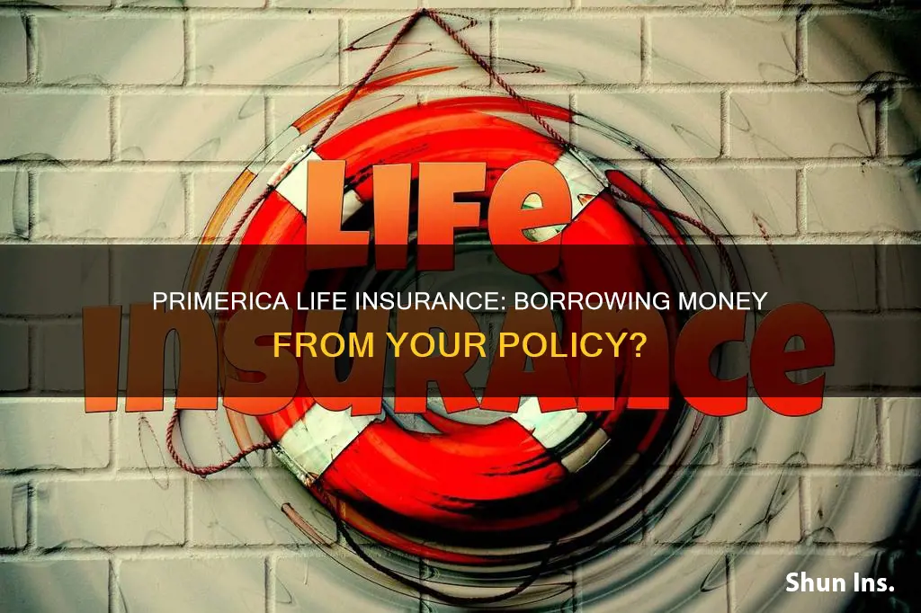 can I borrow money from my primerica life insurance