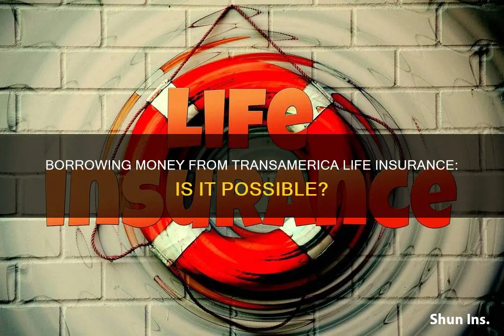 can I borrow money from my transamerica life insurance