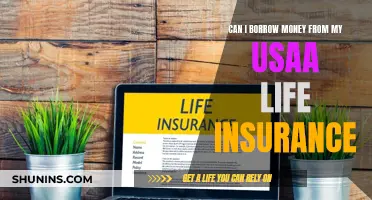 Borrowing Money from USAA Life Insurance: Is It Possible?