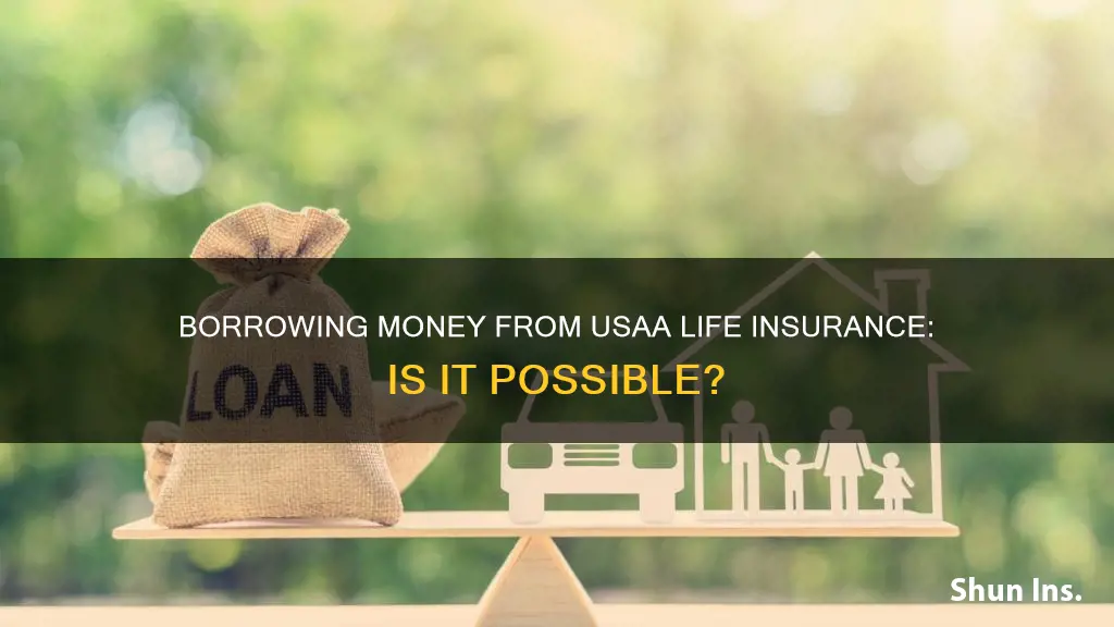 can I borrow money from my usaa life insurance