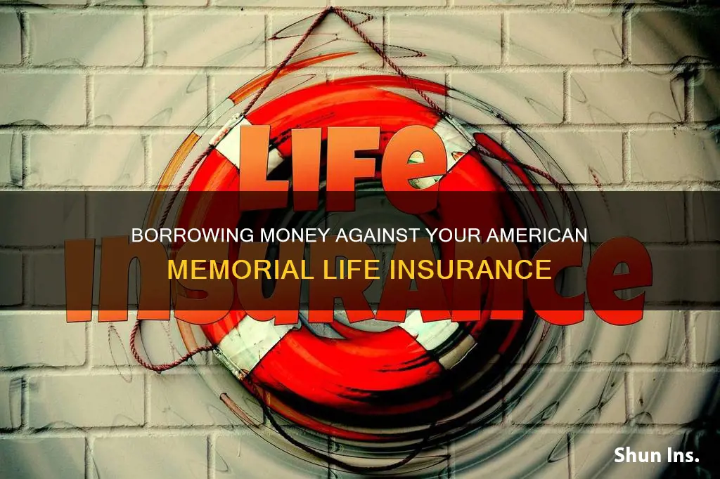 can I borrow money on american memorial life insurance y