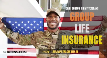 Borrowing on Veterans Group Life Insurance: Is It Possible?