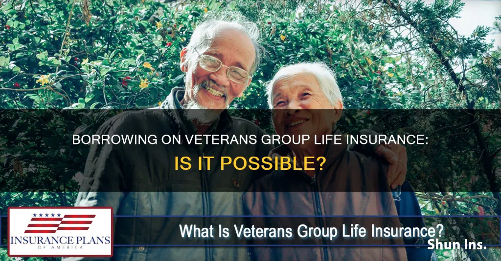 can I borrow on my veterans group life insurance