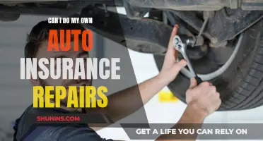 DIY Auto Repairs: Is it Worth the Risk?