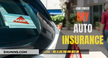 Freeze Auto Insurance: Yes or No?