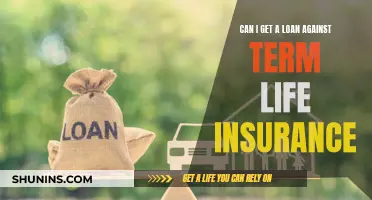 Term Life Insurance: Loan Collateral Options Explored