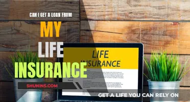 Using Life Insurance for a Loan: Is It Possible?