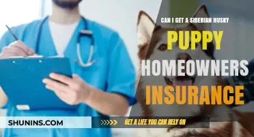 Home Insurance: Huskies and Homeowners