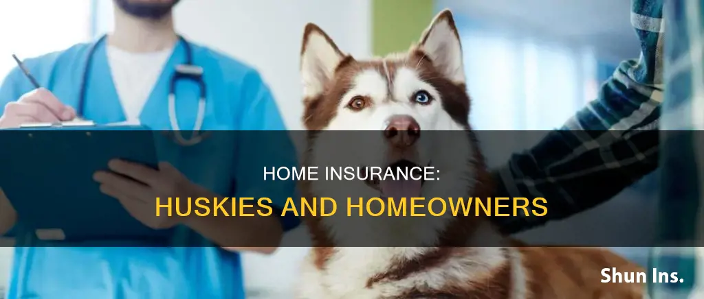 can I get a siberian husky puppy homeowners insurance