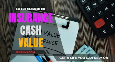 Adjustable Life Insurance: Cash Value Accessibility Explained