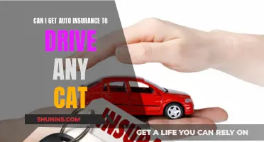 Insuring Any Car You Drive