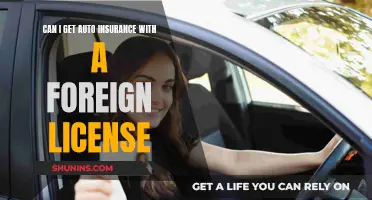 Foreign Licenses and Auto Insurance