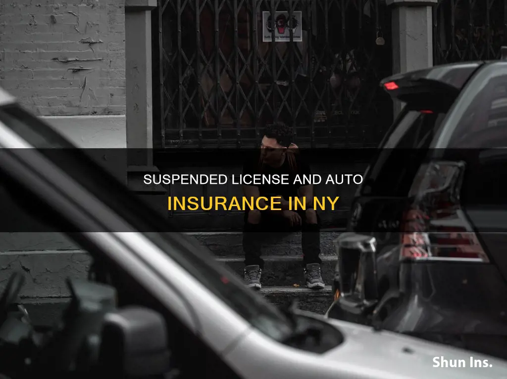 can I get auto insurance with a suspened license ny