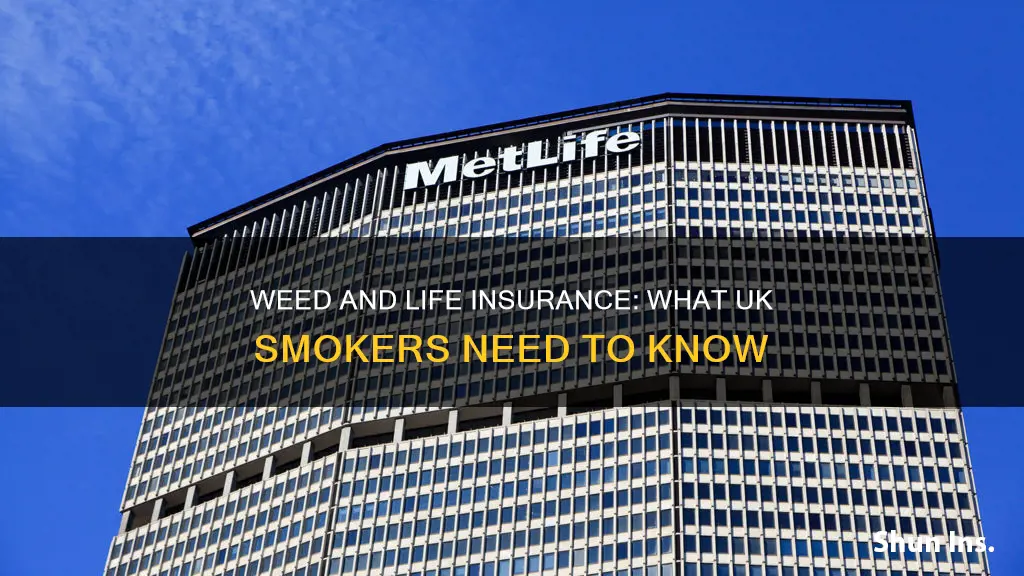 can I get life insurance if I smoke weed uk